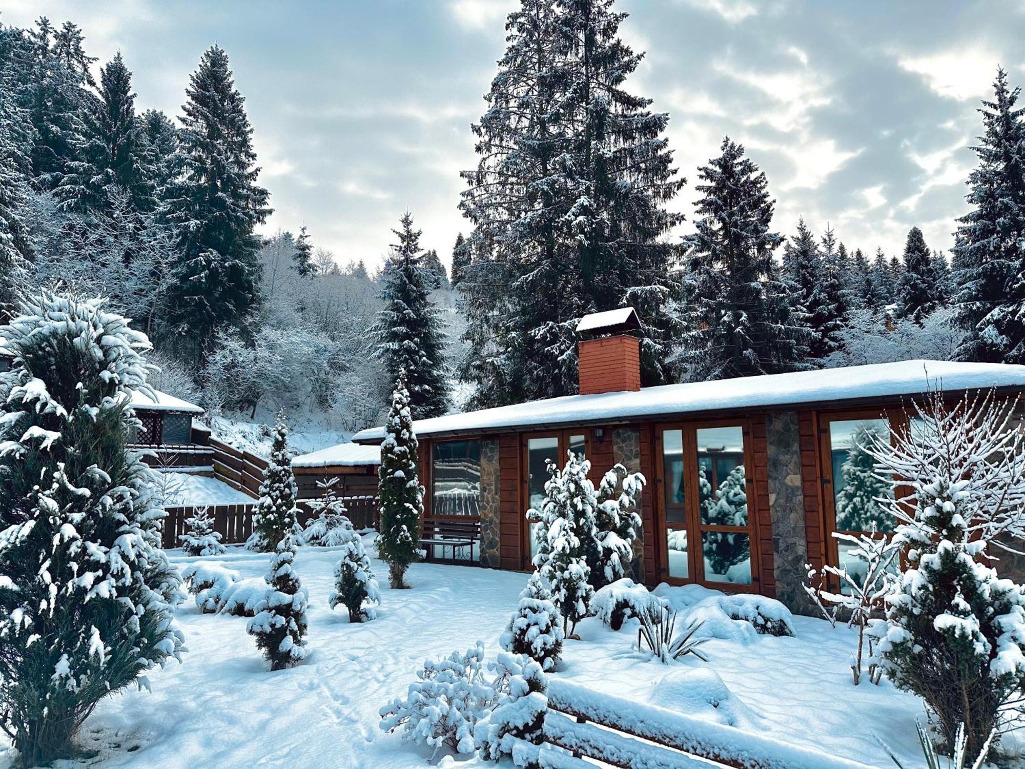 Chalet Filvarok Slavske Exterior photo
