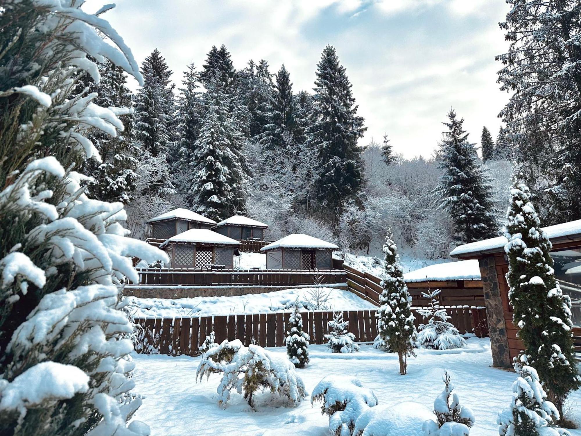 Chalet Filvarok Slavske Exterior photo